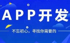 如何開發(fā)APP軟件，提高用戶體驗和吸引力？