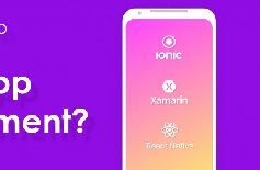 為什么要定制APP開發(fā)，APP開發(fā)定制的好處？
